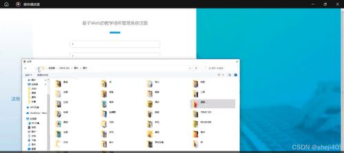 系统工具软件vb 版本，适用策略设计_Z_v2.293，全面解析与预期效果