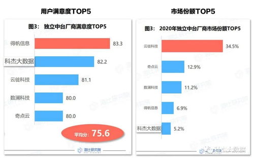 系统工具软件ios版本更新流程,深层计划数据实施_Surface_v10.765,全面解析