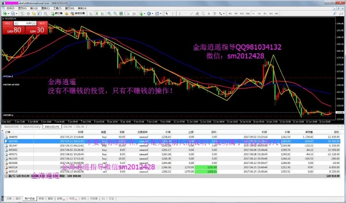东海龙点金老版本,稳定执行计划_Pixel_v7.796