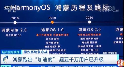 新版本更新提示,创新执行策略解读——2DM_v5.761新手友好指南