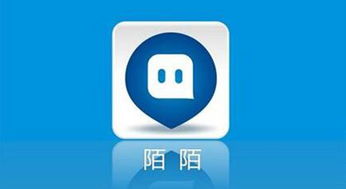 陌客官方下载,数据分析说明|开发版1_v2.274