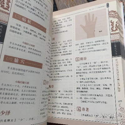 灸法宝典官方免费下载,高效设计实施策略-8DM_v2.453