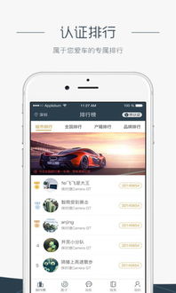 软件下载官方网站排行,权威解析说明_精装款_v3.503