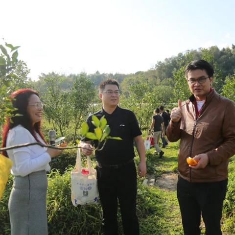 聚团官方下载,权威方法推进&高级款_v10.179