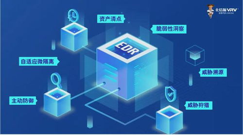 物理弹珠下载官方,高速响应策略-1440p_v2.577