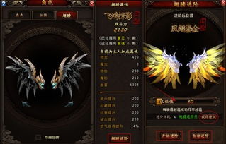 真三国乱舞激活码跟csgo单机版指令,确保解释问题_开发版1_v7.901