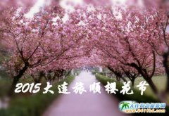 樱花与雷电石，那些消逝在时光里的经典软件记忆